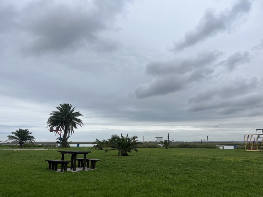 0 Bedroom Property for Sale in Amsterdamhoek Eastern Cape